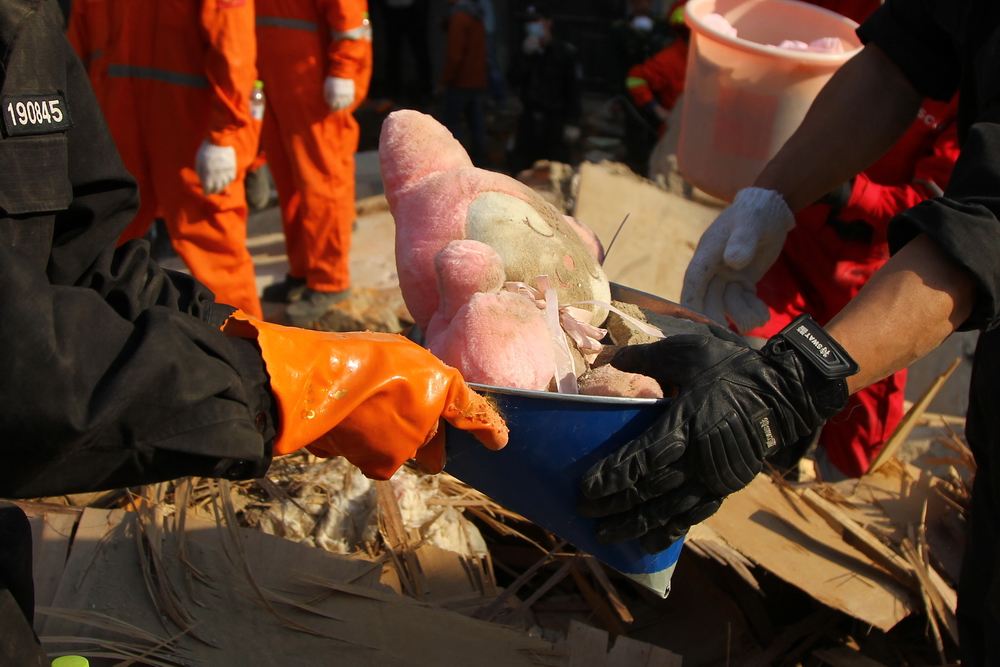 ������СŮ����ë�q���