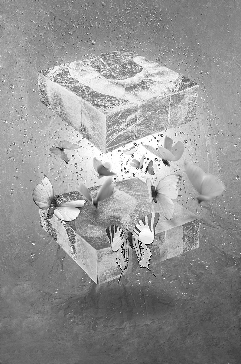 ���g�S���c����݆�� 4.jpg