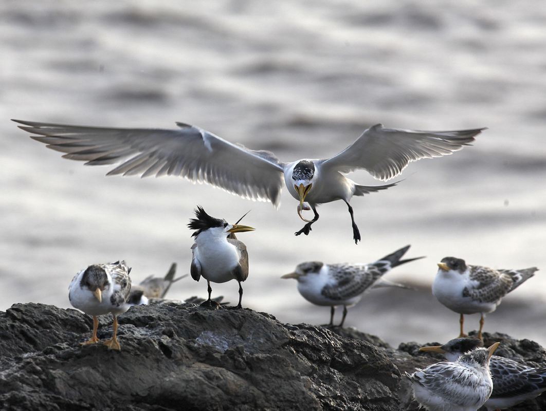 �w�� ����M������.jpg