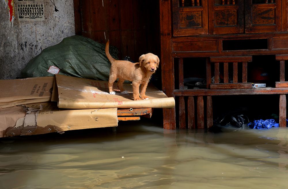 ��(n��i)��֮�����M��6���D��һ�l���ϸ�̎���׹����挦(du��)�����ӵĺ�ˮ���۾������س����T�����ȴ������˵ĵ���(l��i)��