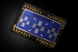 EOS 7D Mark II���Ԅӌ����Б���