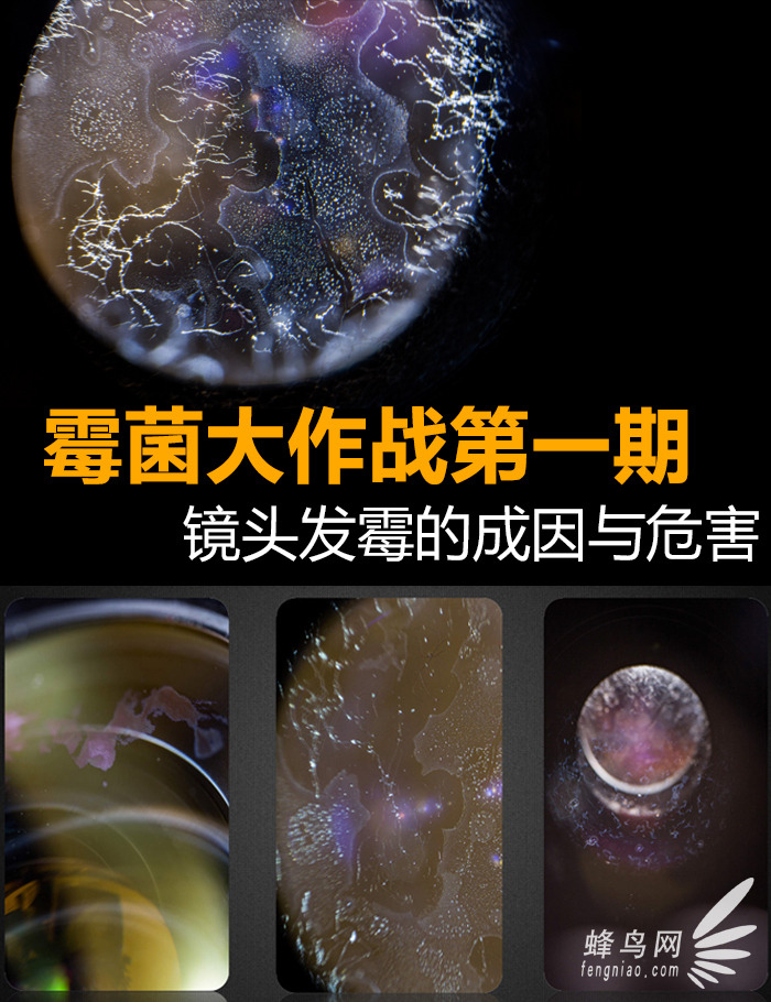 ù��������(zh��n)��һ�� �R�^�l(f��)ù�ĳ����cΣ��