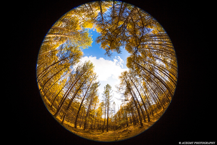魚眼到長焦 佳能各段紅圈頭風(fēng)光拍攝感受 魚眼到長焦 佳能各段紅圈頭風(fēng)光拍攝感受