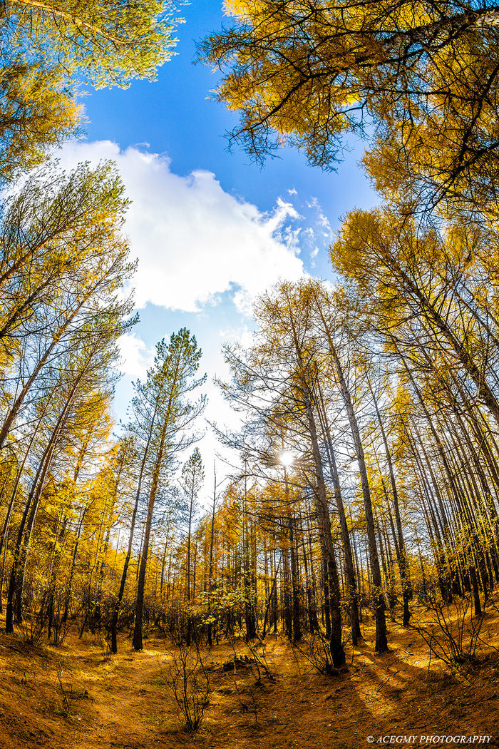 魚眼到長焦 佳能各段紅圈頭風(fēng)光拍攝感受 魚眼到長焦 佳能各段紅圈頭風(fēng)光拍攝感受