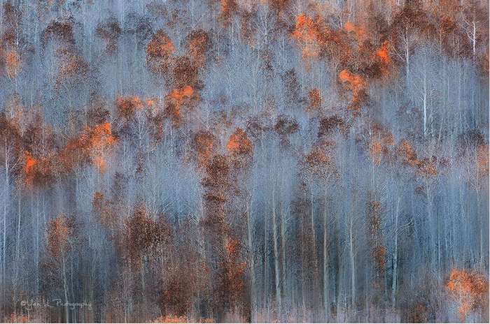 �Y���L(f��ng)��zӰ���R�^�ı���