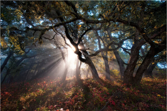 �Y���L(f��ng)��zӰ���R�^�ı���