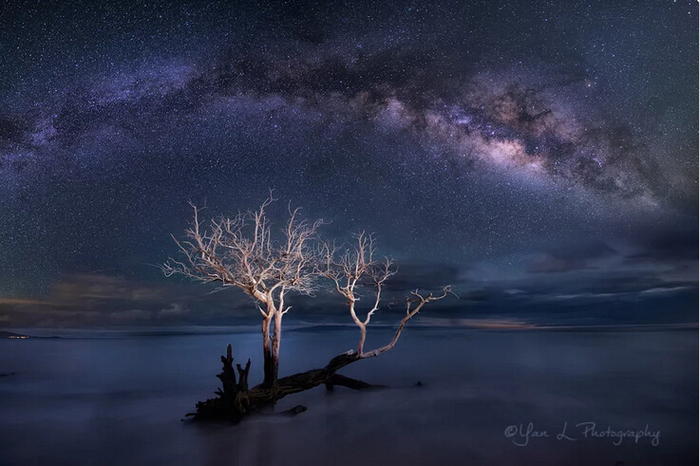 �Y���L(f��ng)��zӰ���R�^�ı���