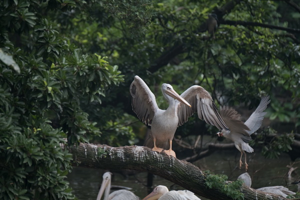 ��ʿX-T2�ӏ�