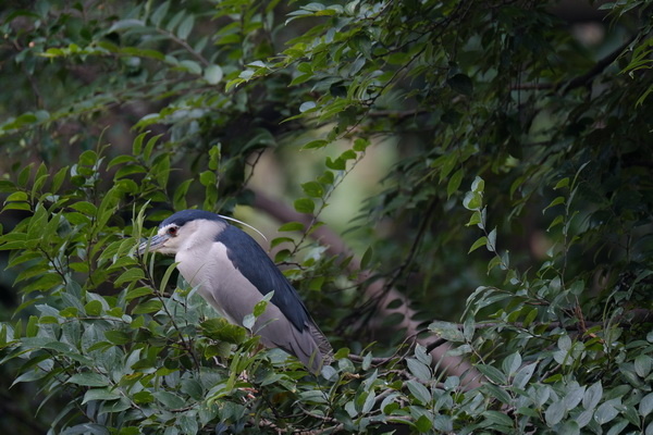 ��ʿX-T2�ӏ�