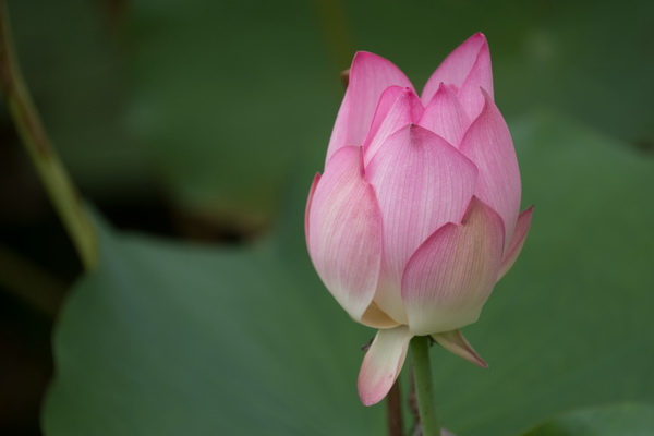 ��ʿX-T2�ӏ�