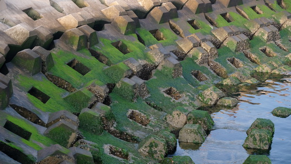 ��ʿX-T2�ӏ�