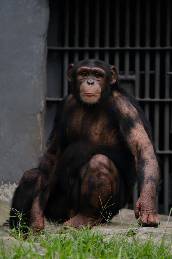 ��ʿX-T2�ӏ�