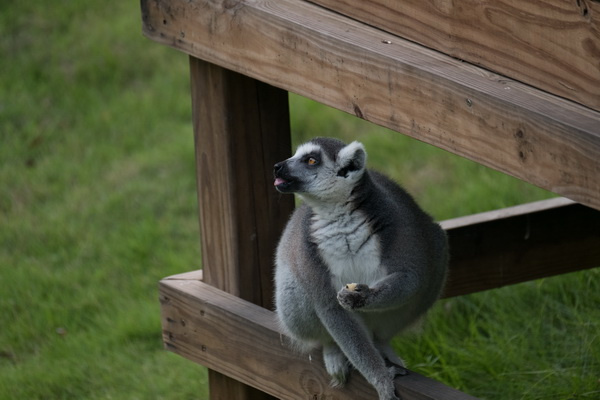 ��ʿX-T2�ӏ�