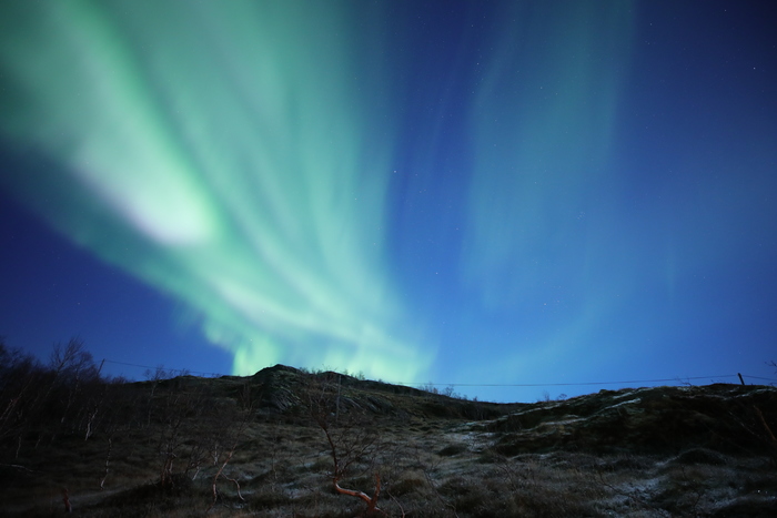 ���������V�ǈ� ����16-35 F2.8 III�u�y