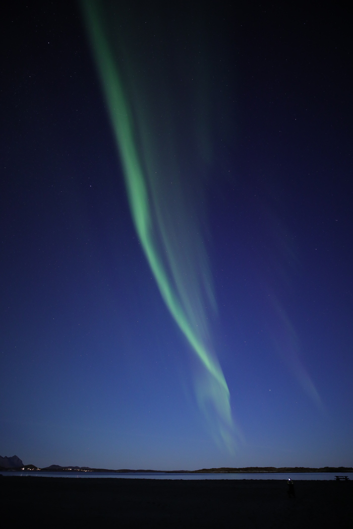 ���������V�ǈ� ����16-35 F2.8 III�u�y