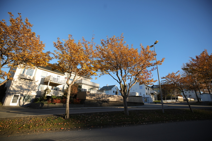 ���������V�ǈ� ����16-35 F2.8 III�u�y